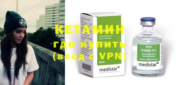 индика Богородицк