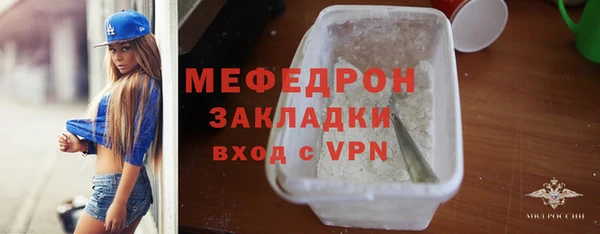 индика Богородицк