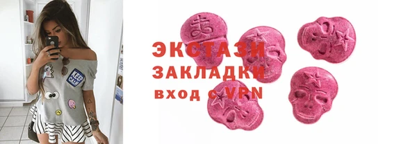 индика Богородицк