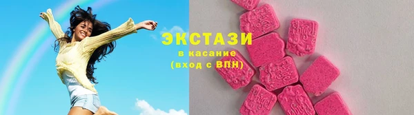 индика Богородицк