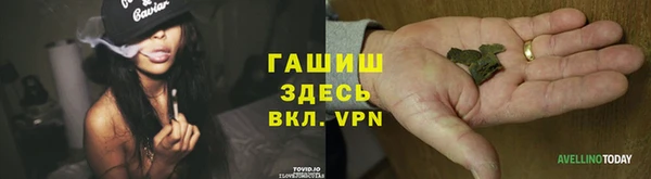 индика Богородицк