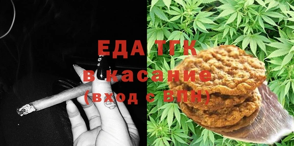 индика Богородицк