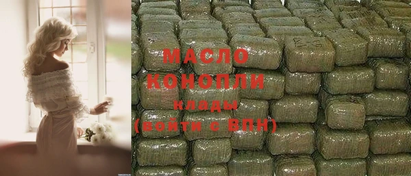 индика Богородицк