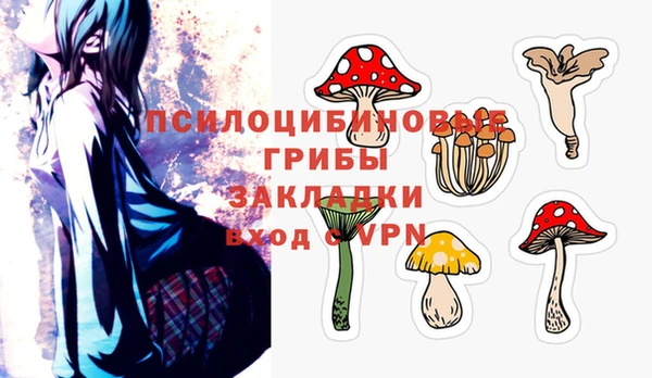 гашик Волосово