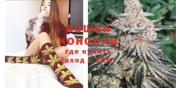 индика Богородицк