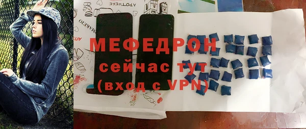 индика Богородицк