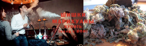 индика Богородицк