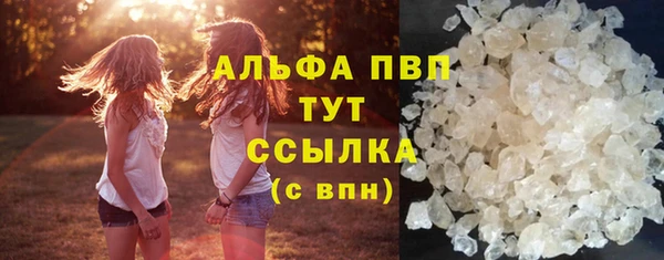 индика Богородицк