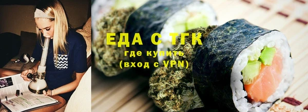 индика Богородицк