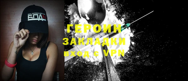 индика Богородицк