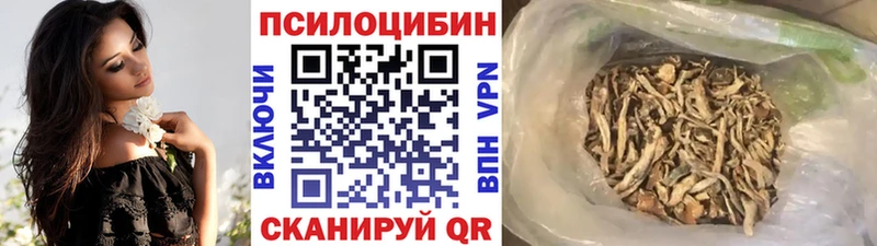 цены наркотик  Бикин  Псилоцибиновые грибы прущие грибы 